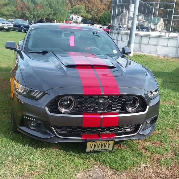 Meet your Posher, Jason - Picture 1 of 1